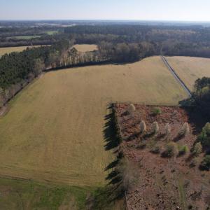Photo #2 of TBD Green Rd., Lake City, SC 19.6 acres
