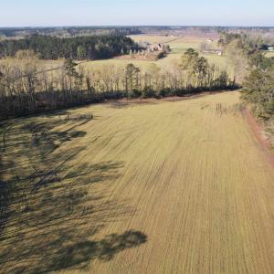 Photo #11 of TBD Green Rd., Lake City, SC 19.6 acres