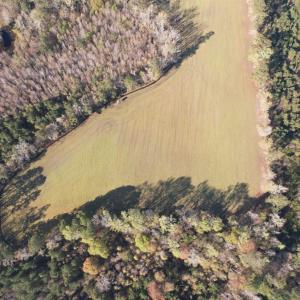 Photo #6 of TBD Green Rd., Lake City, SC 19.6 acres