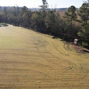 Photo #8 of TBD Green Rd., Lake City, SC 19.6 acres