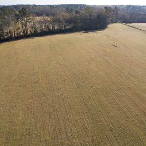 Photo #15 of TBD Green Rd., Lake City, SC 19.6 acres