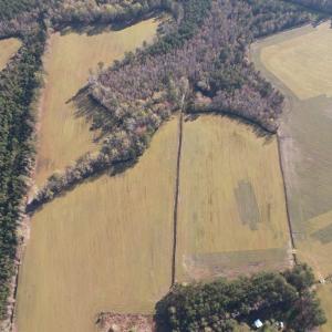 Photo #4 of TBD Green Rd., Lake City, SC 19.6 acres