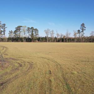Photo #9 of TBD Green Rd., Lake City, SC 19.6 acres