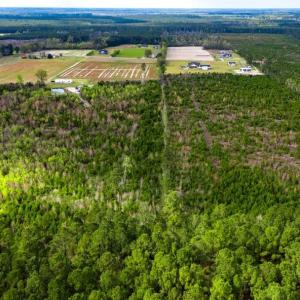 Photo #10 of TBD Jordan Rd., Galivants Ferry, SC 6.1 acres