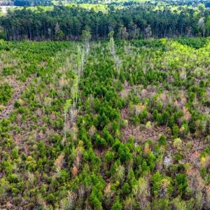 Photo #6 of TBD Jordan Rd., Galivants Ferry, SC 6.1 acres
