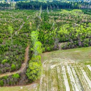 Photo #4 of TBD Jordan Rd., Galivants Ferry, SC 6.1 acres