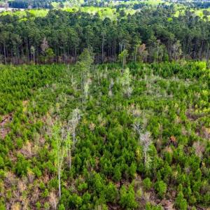 Photo #7 of TBD Jordan Rd., Galivants Ferry, SC 6.1 acres
