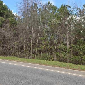 Photo #1 of Old Reaves Ferry Rd., Conway, SC 52.3 acres