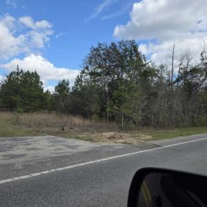 Photo #3 of Old Reaves Ferry Rd., Conway, SC 52.3 acres