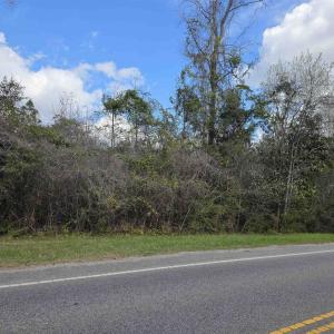 Photo #2 of Old Reaves Ferry Rd., Conway, SC 52.3 acres
