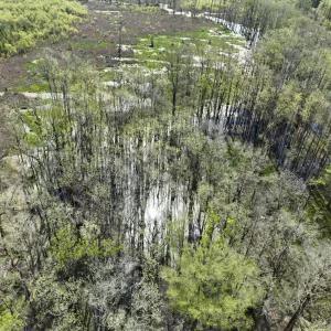 Photo #10 of Rocky Ford Rd., Salters, SC 182.0 acres