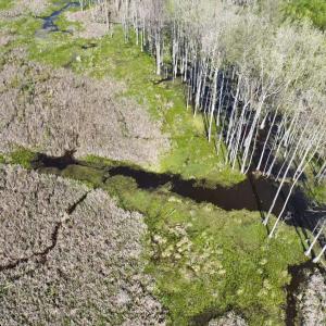 Photo #11 of Rocky Ford Rd., Salters, SC 182.0 acres