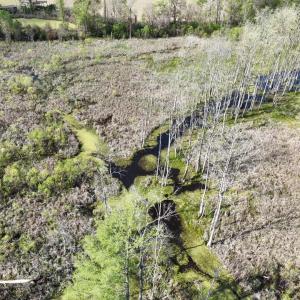 Photo #14 of Rocky Ford Rd., Salters, SC 182.0 acres