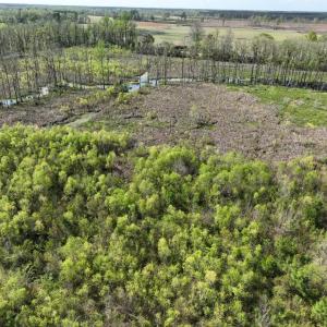 Photo #18 of Rocky Ford Rd., Salters, SC 182.0 acres