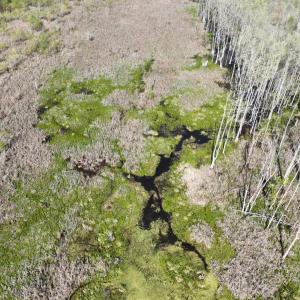 Photo #12 of Rocky Ford Rd., Salters, SC 182.0 acres