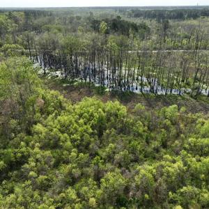 Photo #13 of Rocky Ford Rd., Salters, SC 182.0 acres