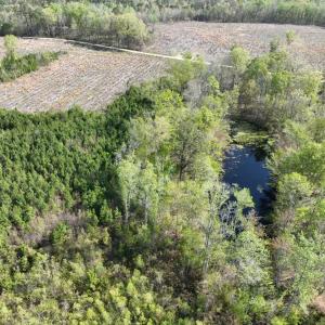 Photo #15 of Rocky Ford Rd., Salters, SC 182.0 acres