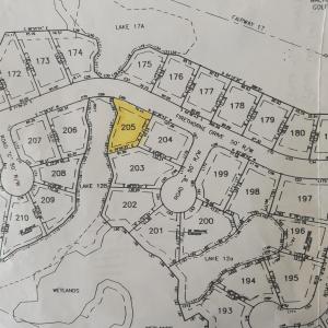 Photo #3 of 4507 Firethorne Dr., Murrells Inlet, SC 0.3 acres