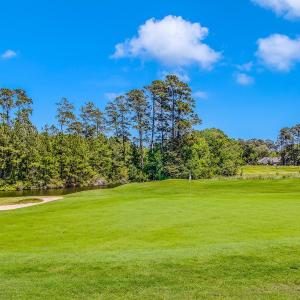 Photo #12 of 4507 Firethorne Dr., Murrells Inlet, SC 0.3 acres