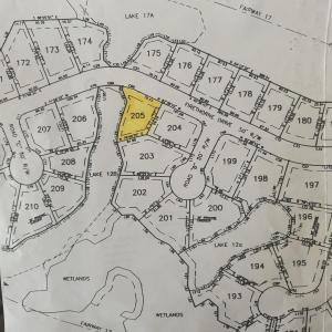 Photo #4 of 4507 Firethorne Dr., Murrells Inlet, SC 0.3 acres