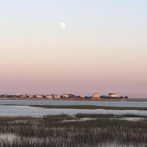 Photo #15 of 4507 Firethorne Dr., Murrells Inlet, SC 0.3 acres