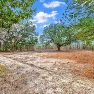 Photo #12 of 3930 Red Bluff Rd., Loris, SC 5.3 acres