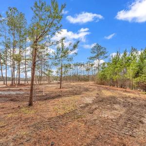 Photo #4 of 3930 Red Bluff Rd., Loris, SC 5.3 acres