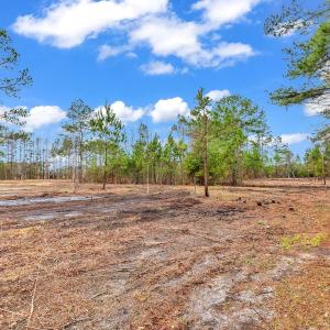 Photo #3 of 3930 Red Bluff Rd., Loris, SC 5.3 acres