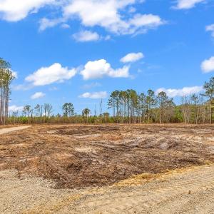 Photo #16 of 3930 Red Bluff Rd., Loris, SC 5.3 acres
