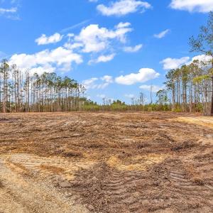 Photo #14 of 3930 Red Bluff Rd., Loris, SC 5.3 acres