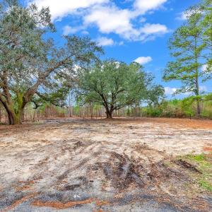 Photo #11 of 3930 Red Bluff Rd., Loris, SC 5.3 acres