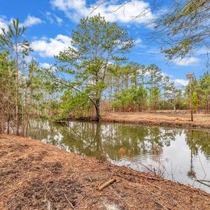 Photo #5 of 3930 Red Bluff Rd., Loris, SC 5.3 acres