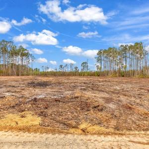 Photo #15 of 3930 Red Bluff Rd., Loris, SC 5.3 acres