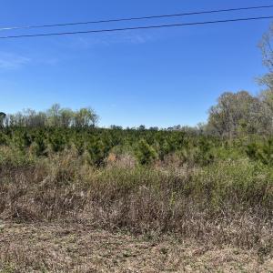 Photo #2 of Attadale Rd, Blenheim, SC 51.8 acres