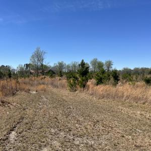 Photo #1 of Attadale Rd, Blenheim, SC 51.8 acres