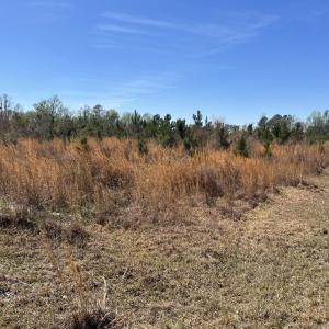 Photo #6 of Attadale Rd, Blenheim, SC 51.8 acres