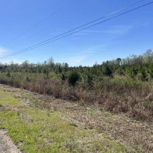 Photo #3 of Attadale Rd, Blenheim, SC 51.8 acres