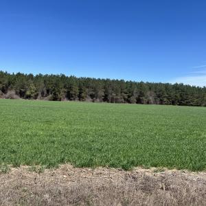 Photo #8 of Salem Rd., Bennettsville, SC 361.4 acres