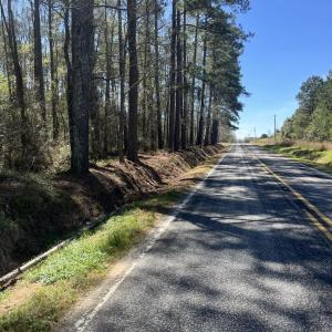 Photo #2 of Salem Rd., Bennettsville, SC 361.4 acres