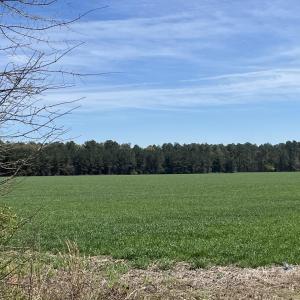 Photo #4 of Salem Rd., Bennettsville, SC 361.4 acres