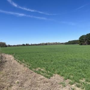 Photo #9 of Salem Rd., Bennettsville, SC 361.4 acres