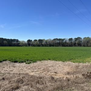 Photo #11 of Salem Rd., Bennettsville, SC 361.4 acres