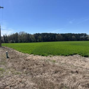 Photo #12 of Salem Rd., Bennettsville, SC 361.4 acres