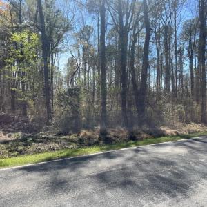 Photo #7 of Salem Rd., Bennettsville, SC 361.4 acres
