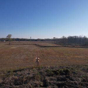 Photo #24 of 711 Cade Rd., Lake City, SC 68.0 acres