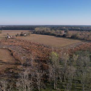 Photo #8 of 711 Cade Rd., Lake City, SC 68.0 acres