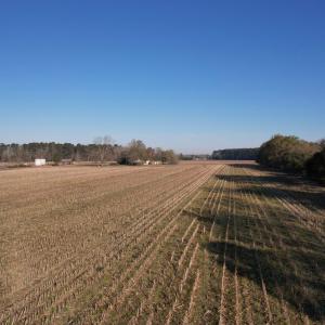 Photo #12 of 711 Cade Rd., Lake City, SC 68.0 acres