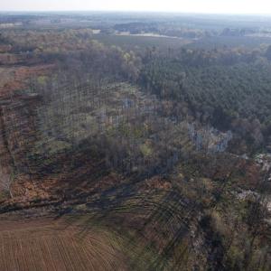 Photo #10 of 711 Cade Rd., Lake City, SC 68.0 acres