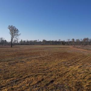 Photo #17 of 711 Cade Rd., Lake City, SC 68.0 acres