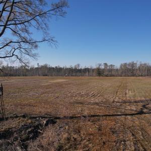 Photo #23 of 711 Cade Rd., Lake City, SC 68.0 acres